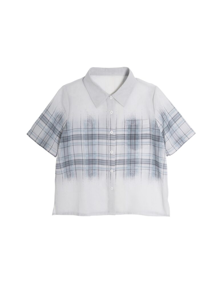 Printed Chiffon Shirt